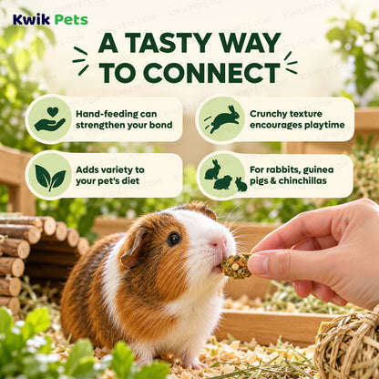 Benefits of Kaytee Healthy Bits Treat for Rabbits Guinea Pigs & Chinchillas 4.5-oz