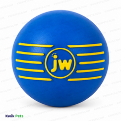 JW Pet iSqueak Ball Dog Toy Assorted Large
