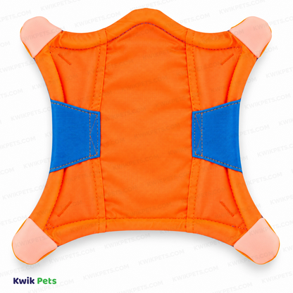 back of Chuckit! Flying Squirrel Dog Toy Assorted Large
