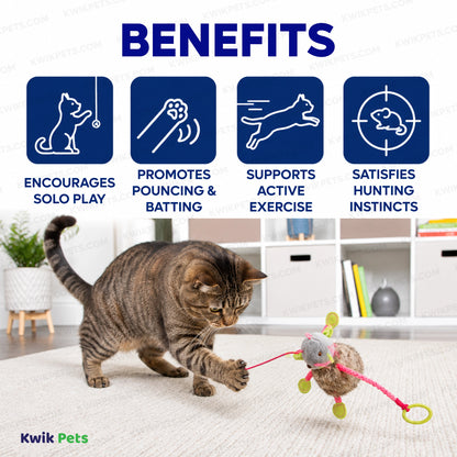 Benefits of SmartyKat Bouncy Mouse Bungee Plush Catnip Cat Toy Assorted