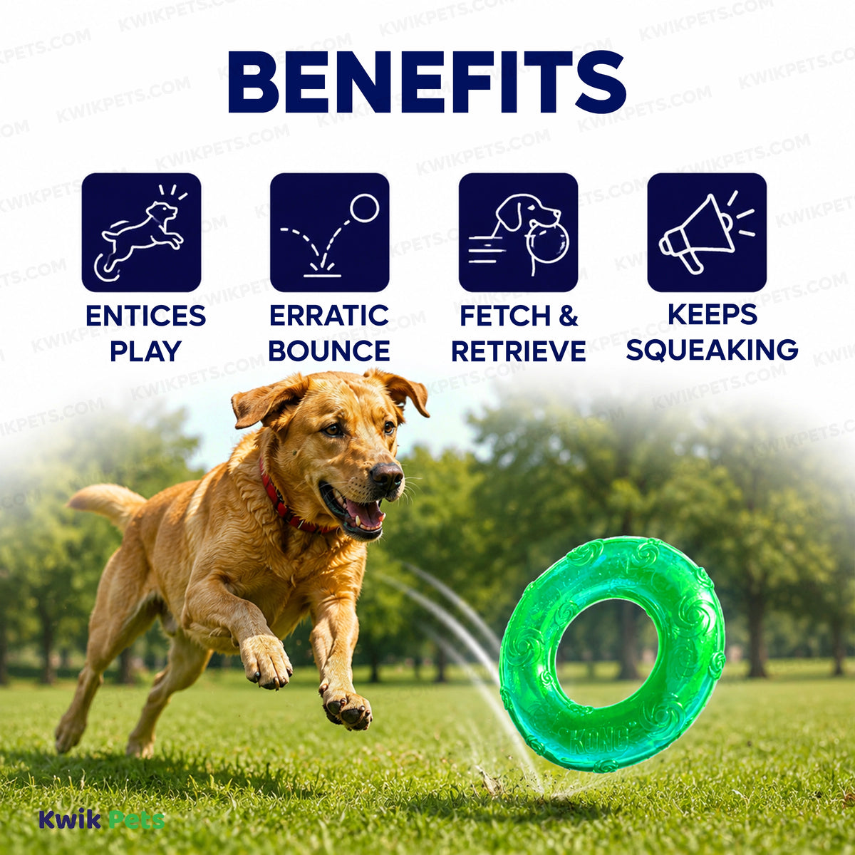 Benefits of KONG Squeezz Ring Dog Toy Assorted Large