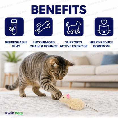Benefits of SmartyKat Madcap Mouse Refillable with Catnip Tube Cat Toy Assorted