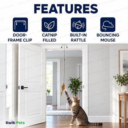 Features f Spot A-Door-Able Bouncing Mouse Rattle & Catnip Cat Toy Assorted