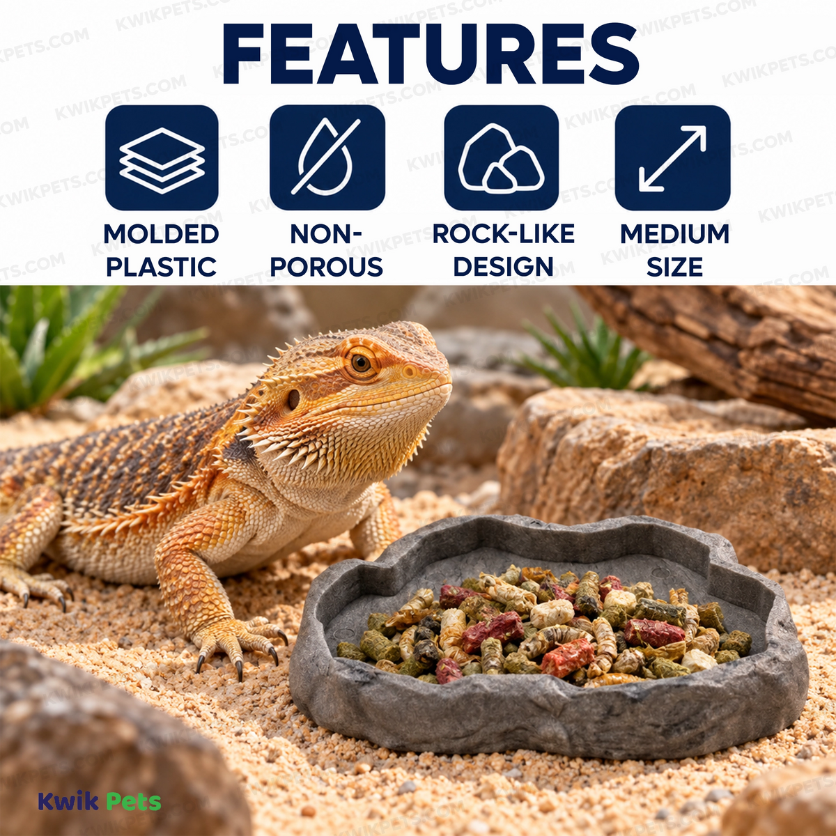 Features of Zoo Med Repti Rock Food Dish Assorted Medium