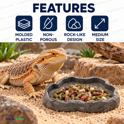 Features of Zoo Med Repti Rock Food Dish Assorted Medium