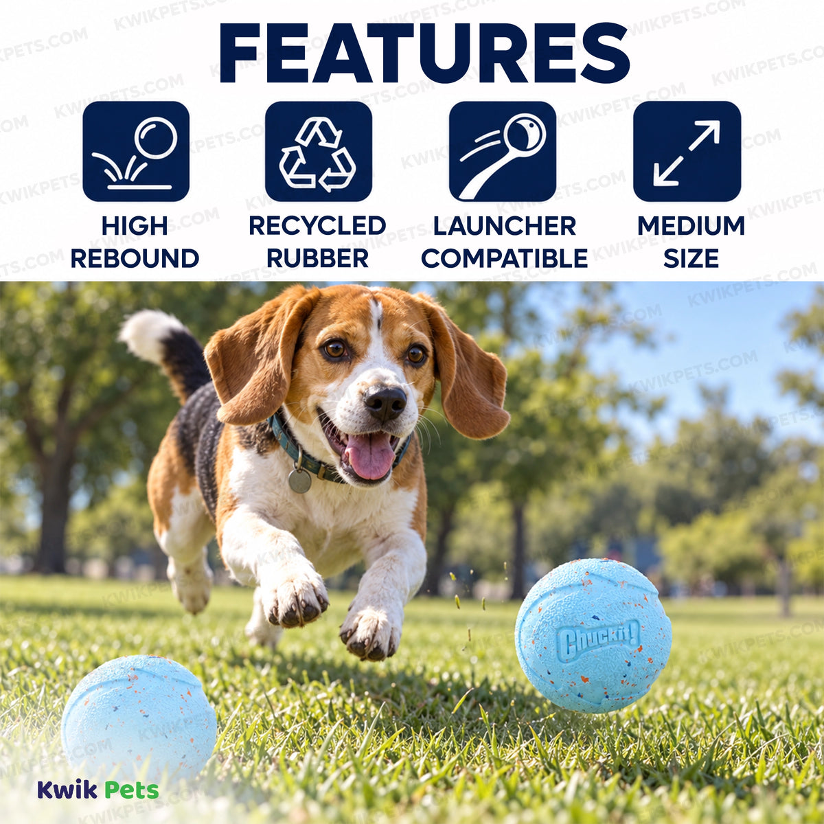 Features of Chuckit! Rebounce Ball Dog Toy Assorted Medium 2 Count