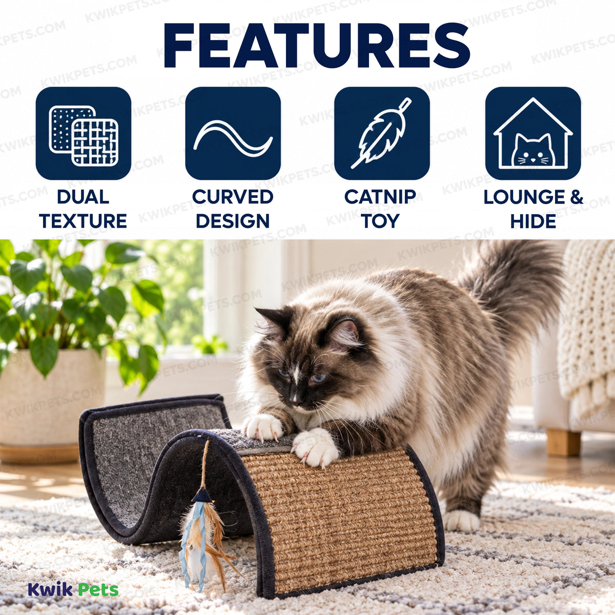 Features of Petlinks Dream Curl Multi-Surface Scratcher Cat Toy Assorted