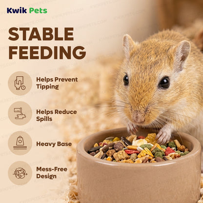 Feeding Guide Lines of Kaytee Stoneware Pet Bowl 3-in