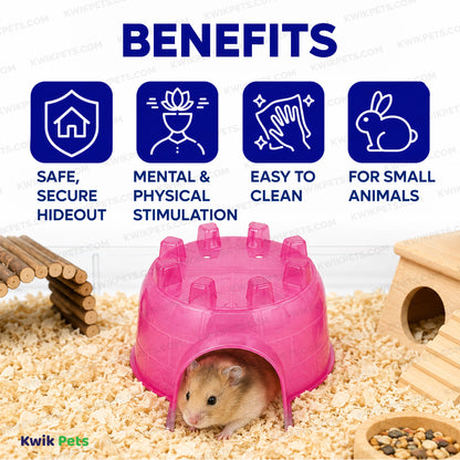 Benefits of Kaytee Mini Igloo Small Animal Hideout Assorted