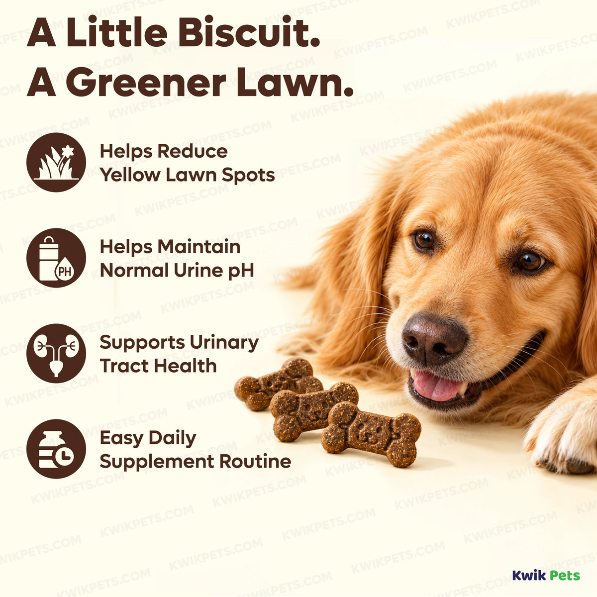 Benefits of NaturVet GrassSaver Dog Biscuits Peanut Butter 11.1-oz