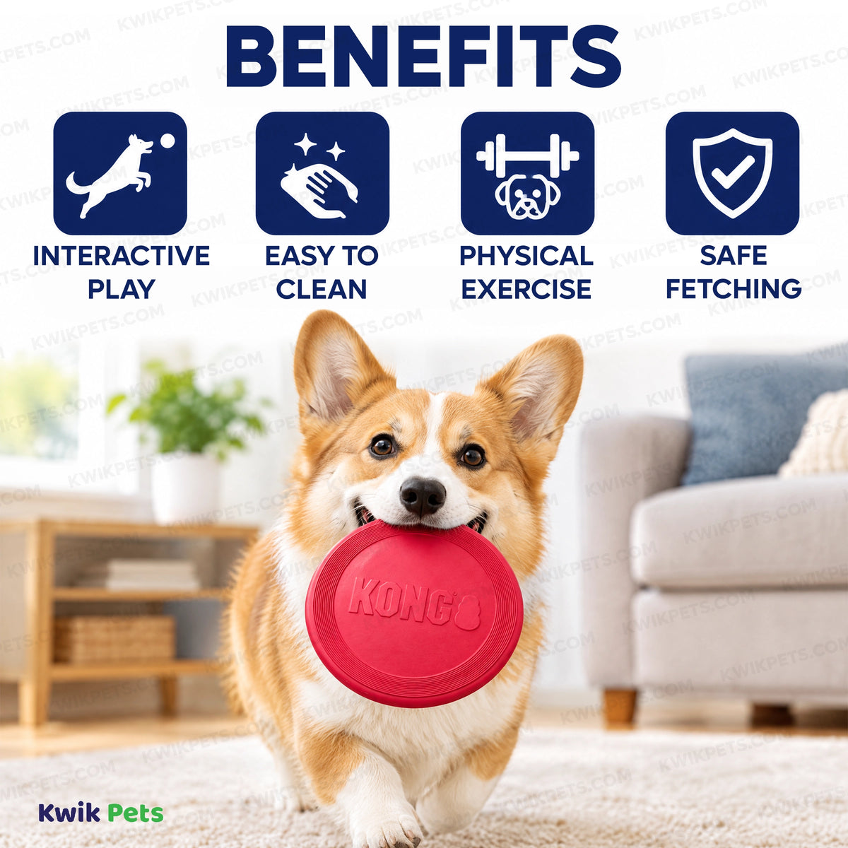 Benefits of KONG Puppy Flyer Dog Toy Assorted Small