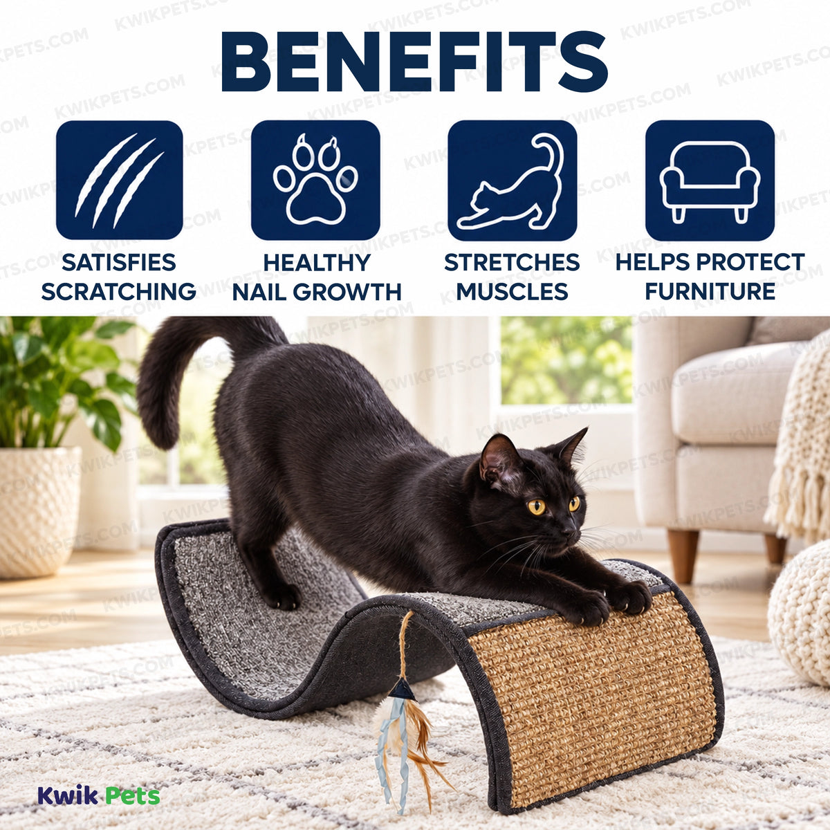 Benefits of Petlinks Dream Curl Multi-Surface Scratcher Cat Toy Assorted