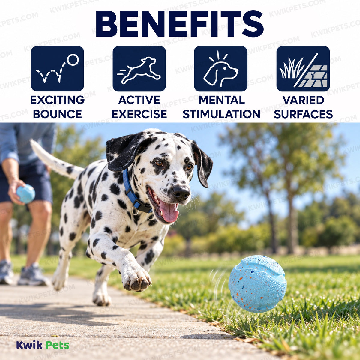 Benefits of Chuckit! Rebounce Ball Dog Toy Assorted Medium 2 Count