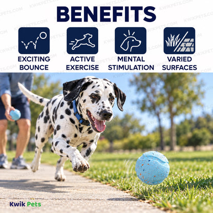 Benefits of Chuckit! Rebounce Ball Dog Toy Assorted Medium 2 Count
