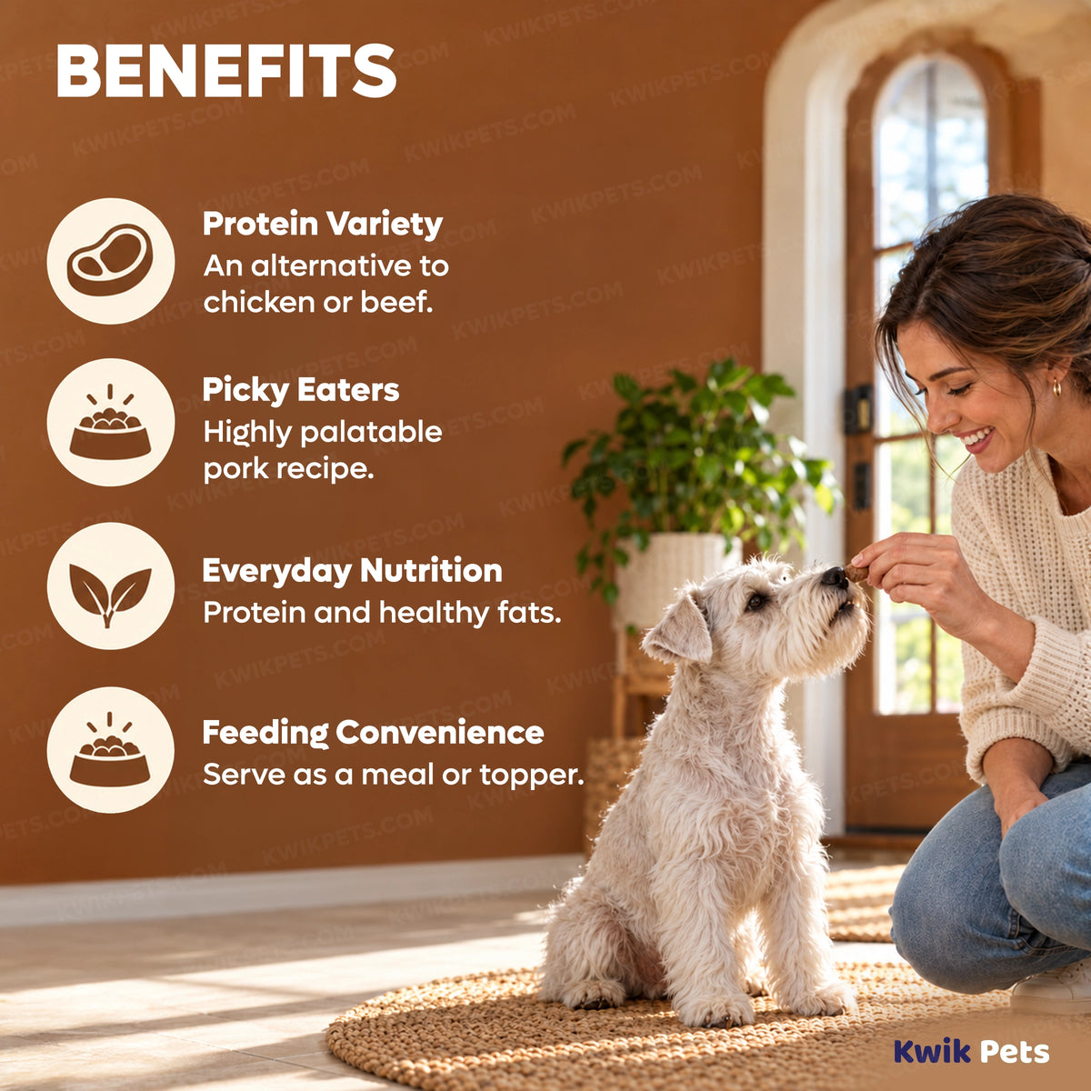 Features of Steve's Real Food Freeze-Dried Nuggets Raw Dog & Cat Food Pork Recipe 1.25-lb