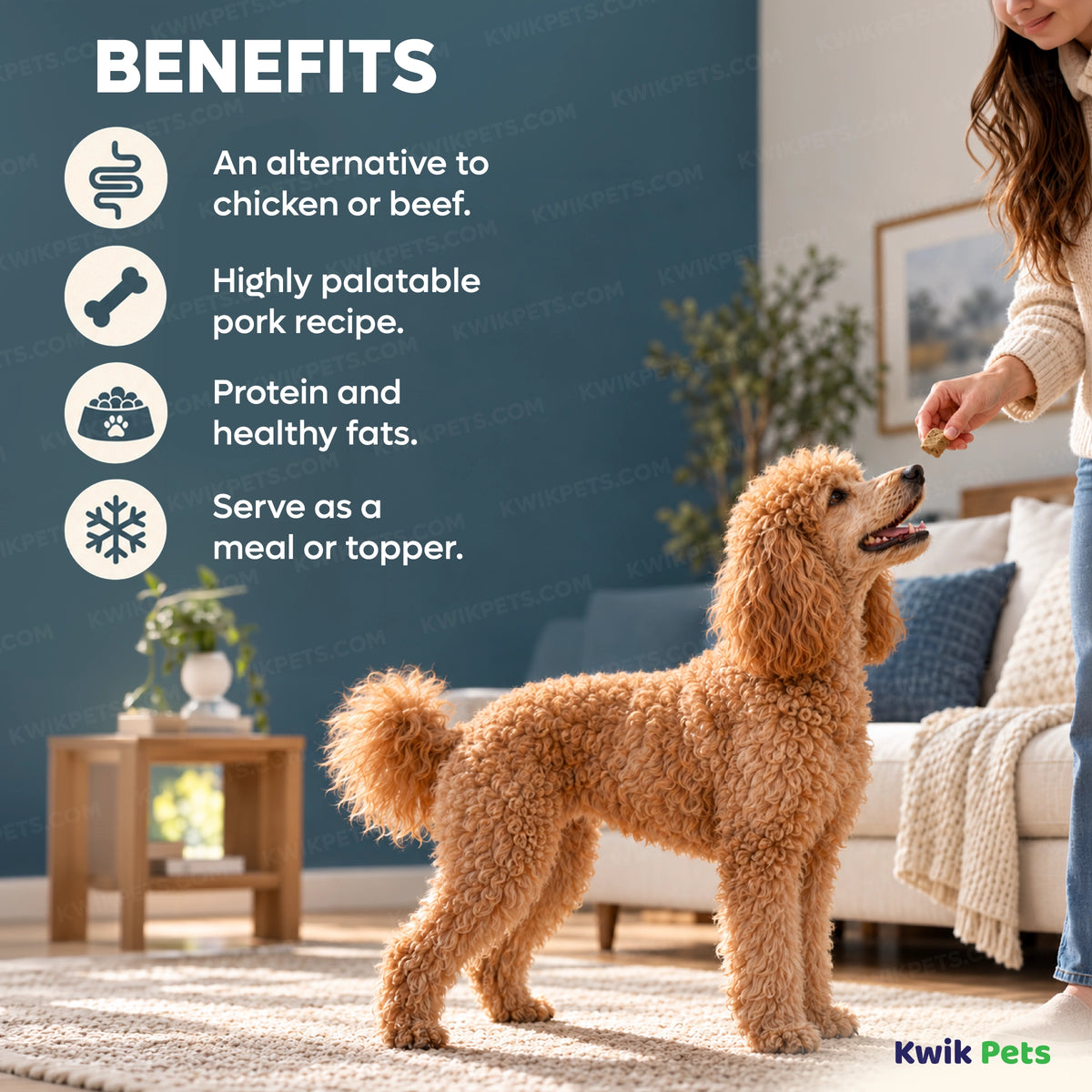 Benefits of Steve's Real Food Freeze-Dried Nuggets Raw Dog & Cat Food Turkey Recipe 1.25-lb