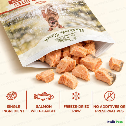 Features of Badlands Ranch Superfood Bites Freeze-Dried Raw Dog Treats Wild Salmon 4-oz