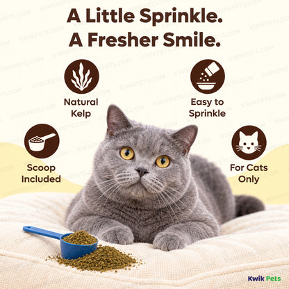 Features of NaturVet Proden PlaqueOff Powder for Cats 40g