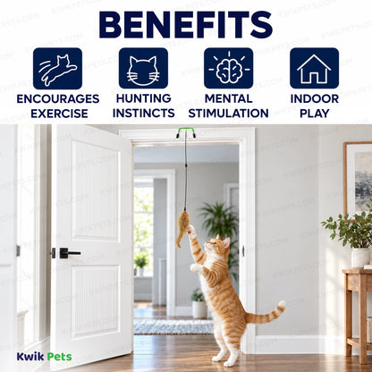 Benefits of Spot A-Door-Able Bouncing Mouse Rattle & Catnip Cat Toy Assorted