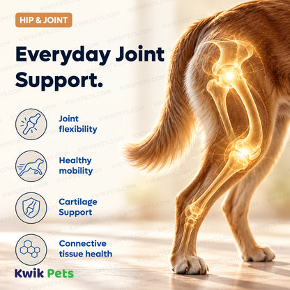 Benefits of Grizzly Hip & Joint Support Liquid Supplement for Dogs & Cats 32-oz