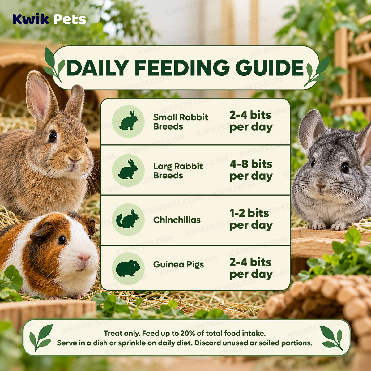 Feeding Guide Lines of Kaytee Healthy Bits Treat for Rabbits Guinea Pigs & Chinchillas 4.5-oz