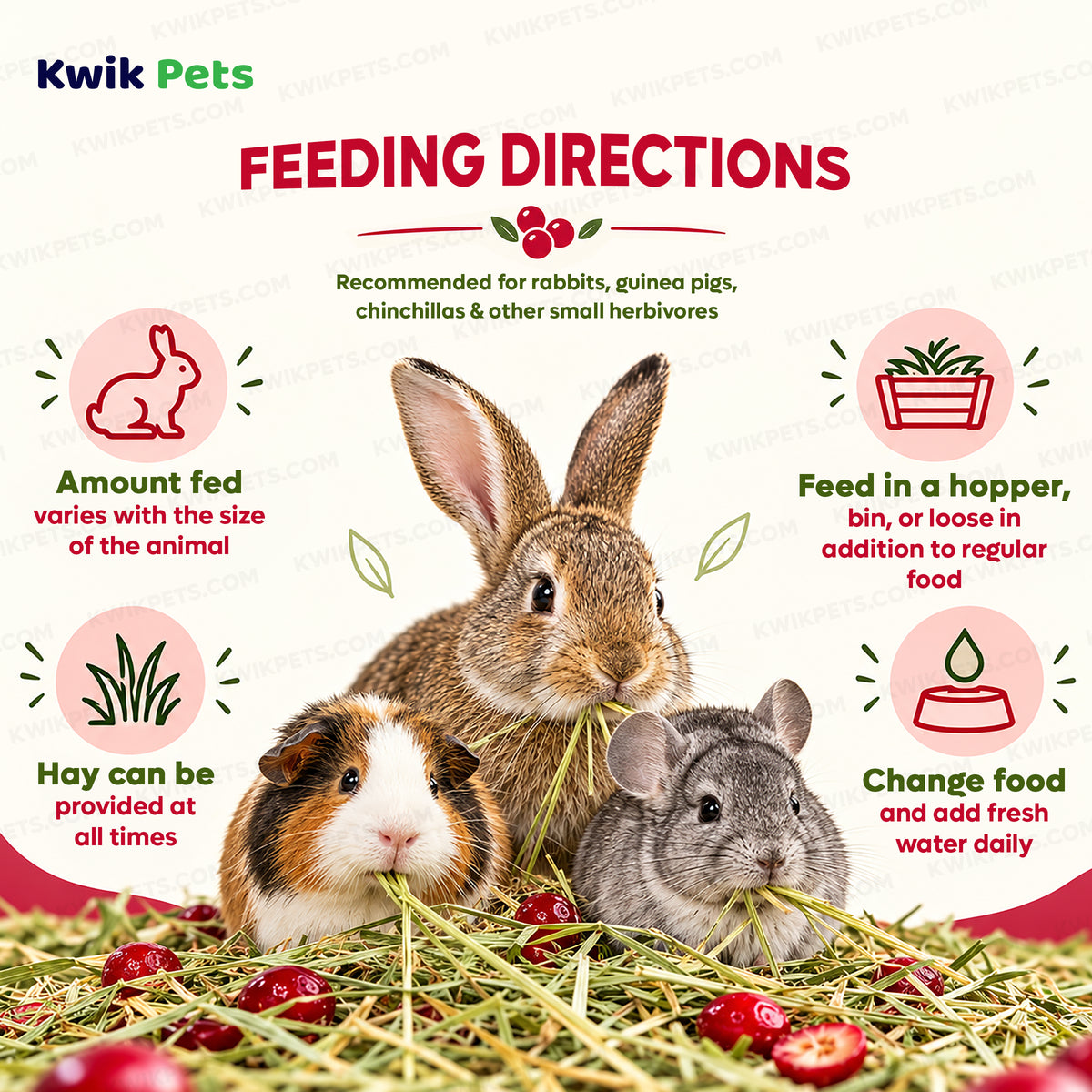 Feeding Guidelines of Kaytee Timothy Hay Plus Cranberries for Small Animals 24-oz