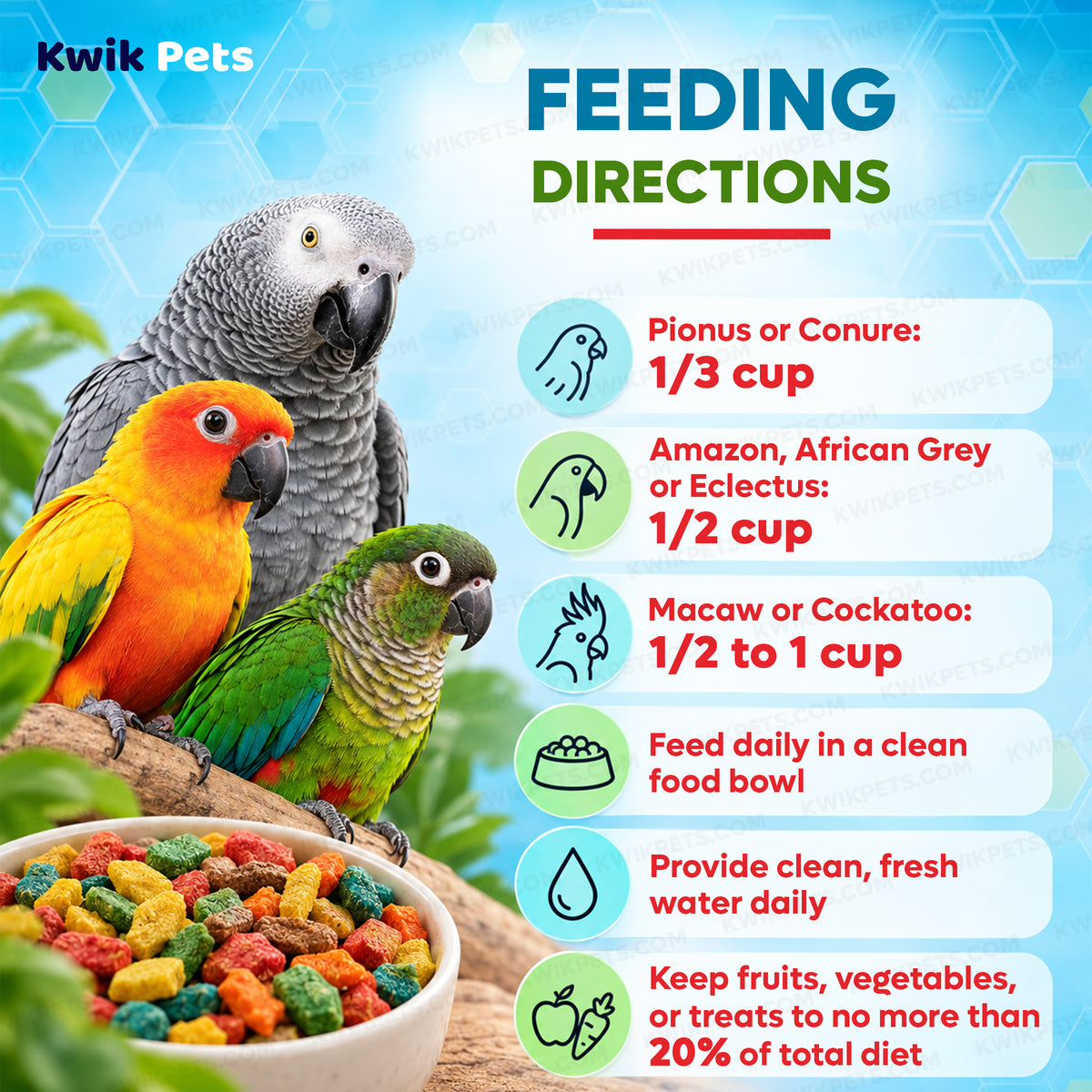 Feeding Guide Lines of Kaytee Exact Rainbow Parrot & Conure Food 4-lb