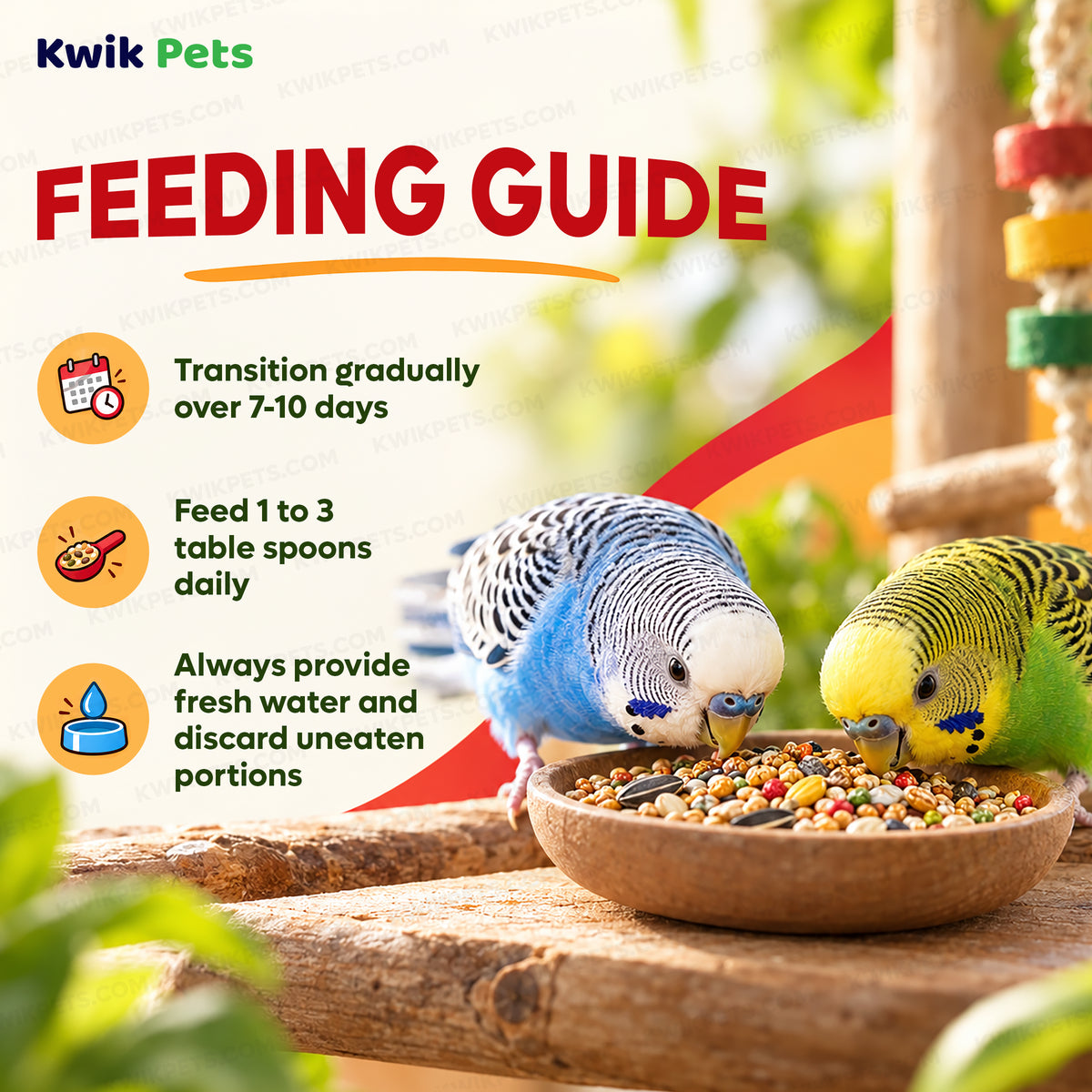Feeding Guide Lines of Kaytee Fiesta Parakeet Food 4.5-lb