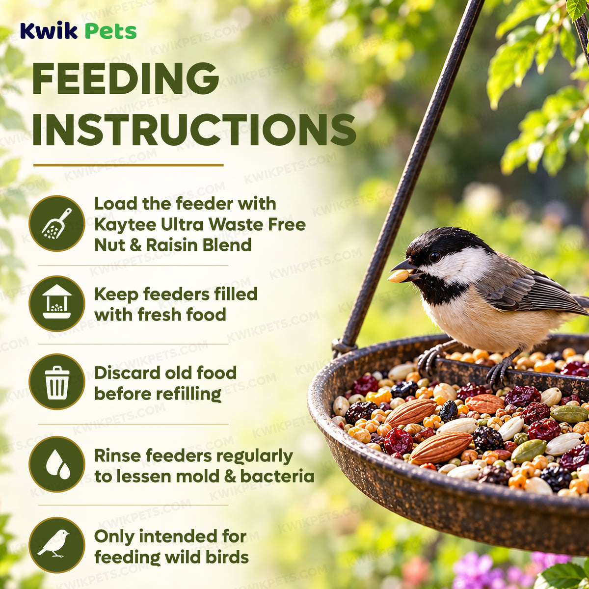 Feeding Guide Lines of Kaytee Ultra Waste Free Nut & Raisin Blend Wild Bird Food 5-lb
