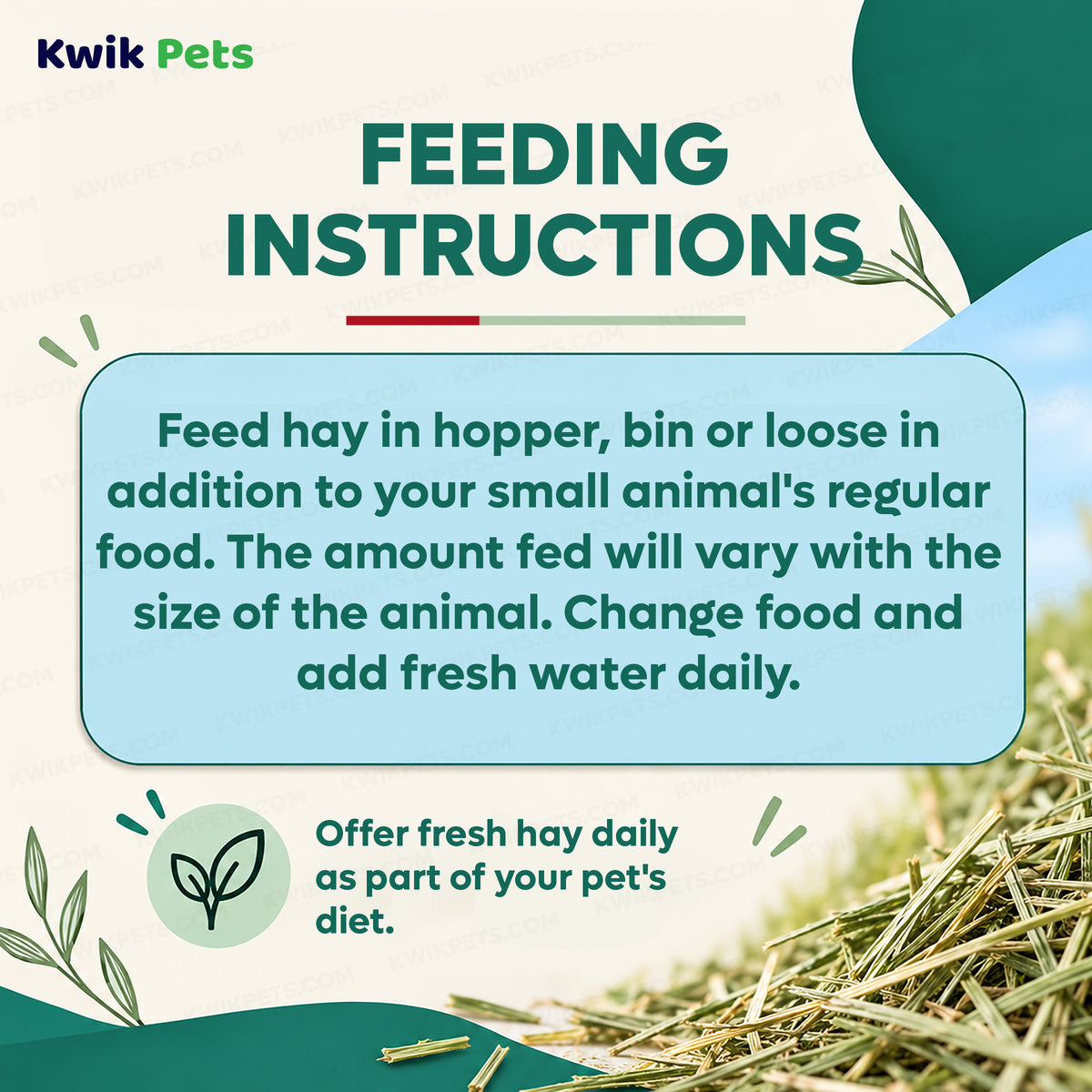 Feeding Guide Lines of Kaytee Orchard Grass Hay for Small Animals 24-oz