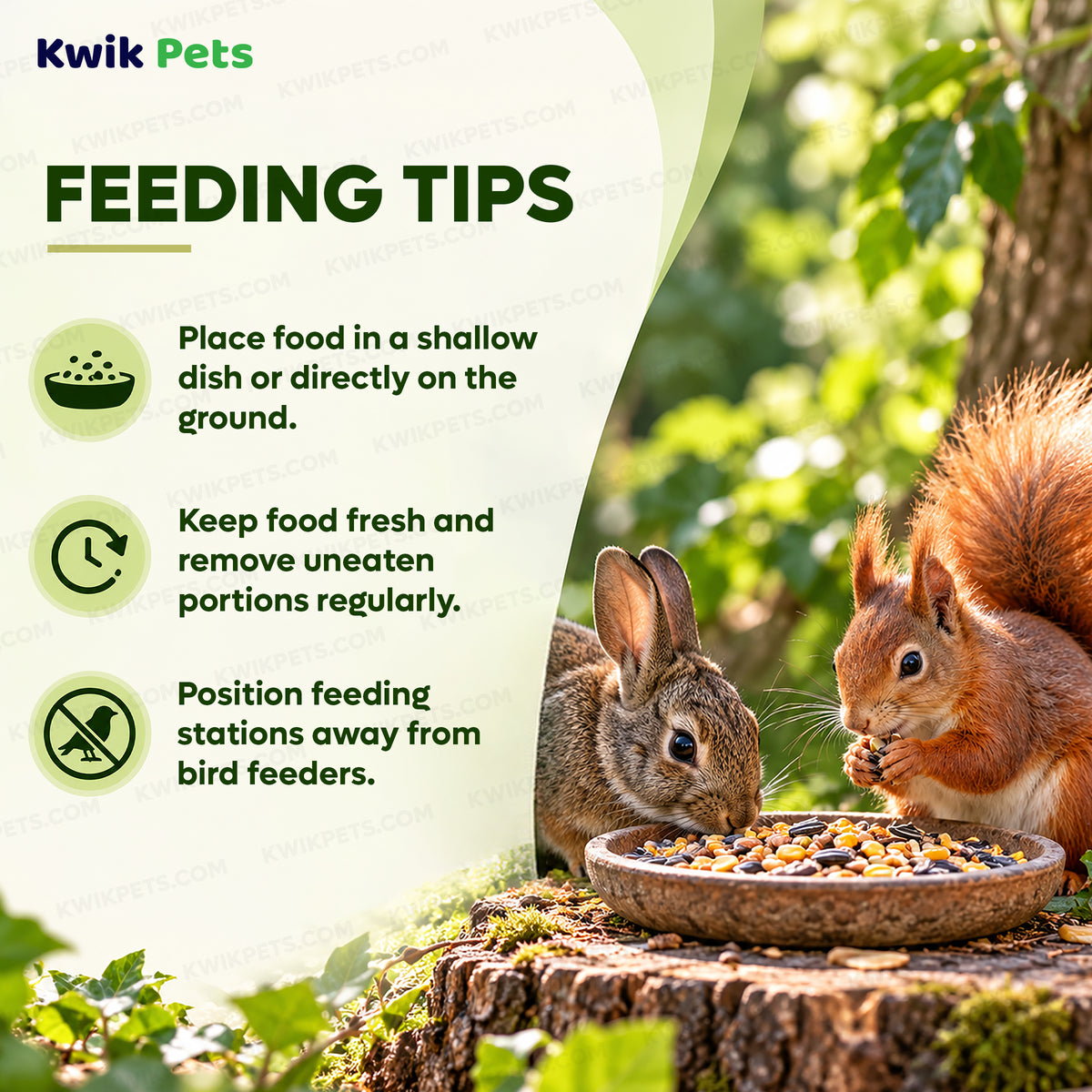 Feeding Guide Lines of Kaytee Backyard Wildlife Blend Food 5-lb