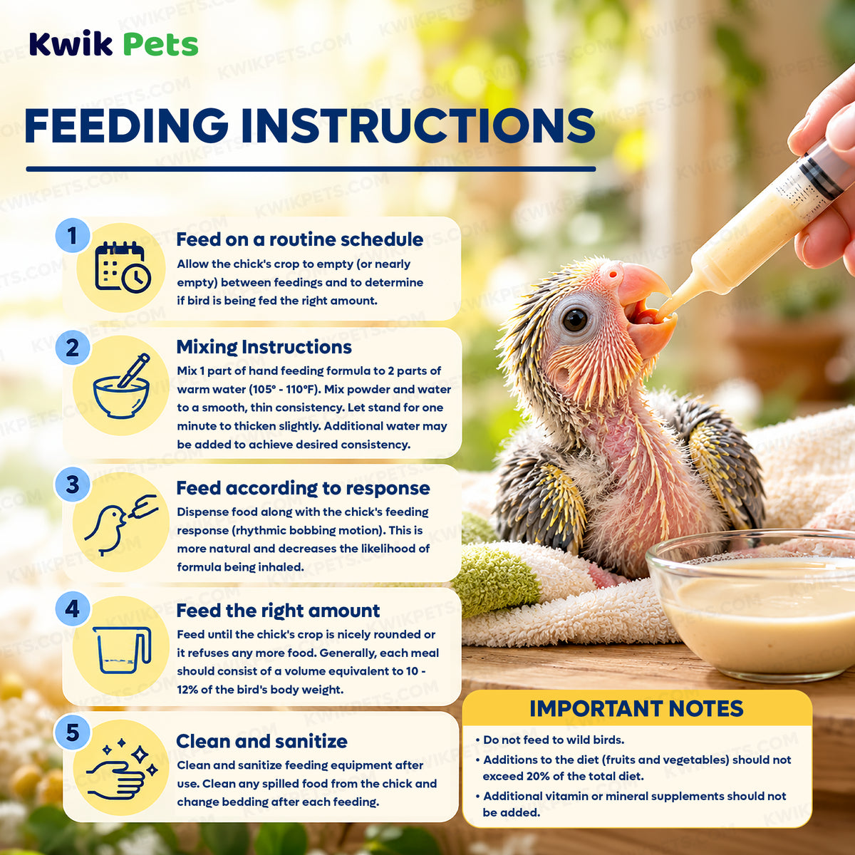 Feeding Guide Lines of Kaytee Exact Handfeeding Formula for Baby Birds 7.5-oz
