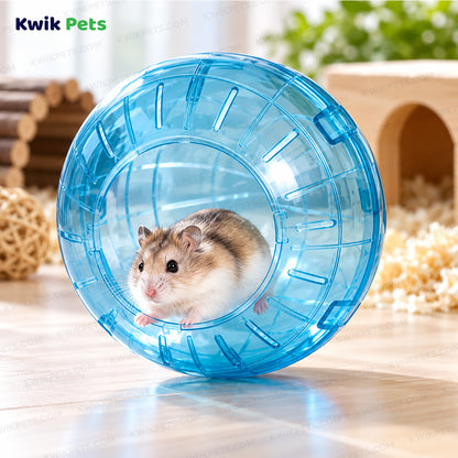 Lifestyle of Kaytee Run-About Small Animal Mini Exercise Ball Rainbow 5-in