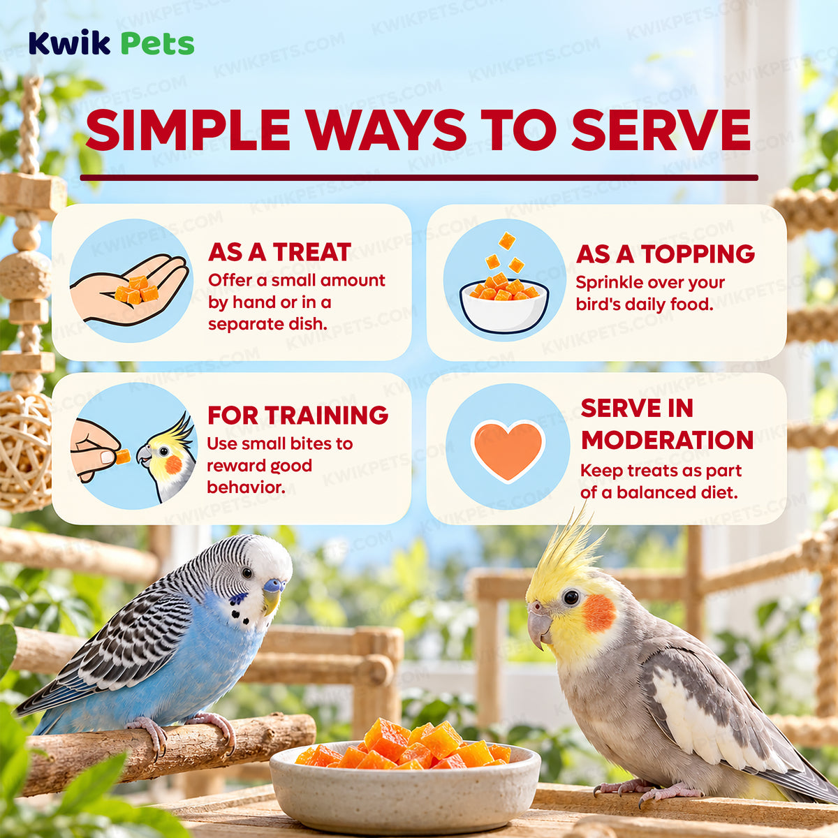 Feeding Guide Lines of Kaytee Healthy Toppings Papaya Bits for All Pet Birds 2.5-oz