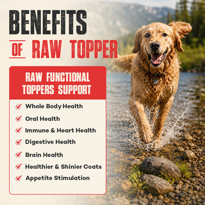 Benefits of Northwest Naturals Functional Freeze Dried Dog & Cat Food Topper Beef Blood 3.5-oz