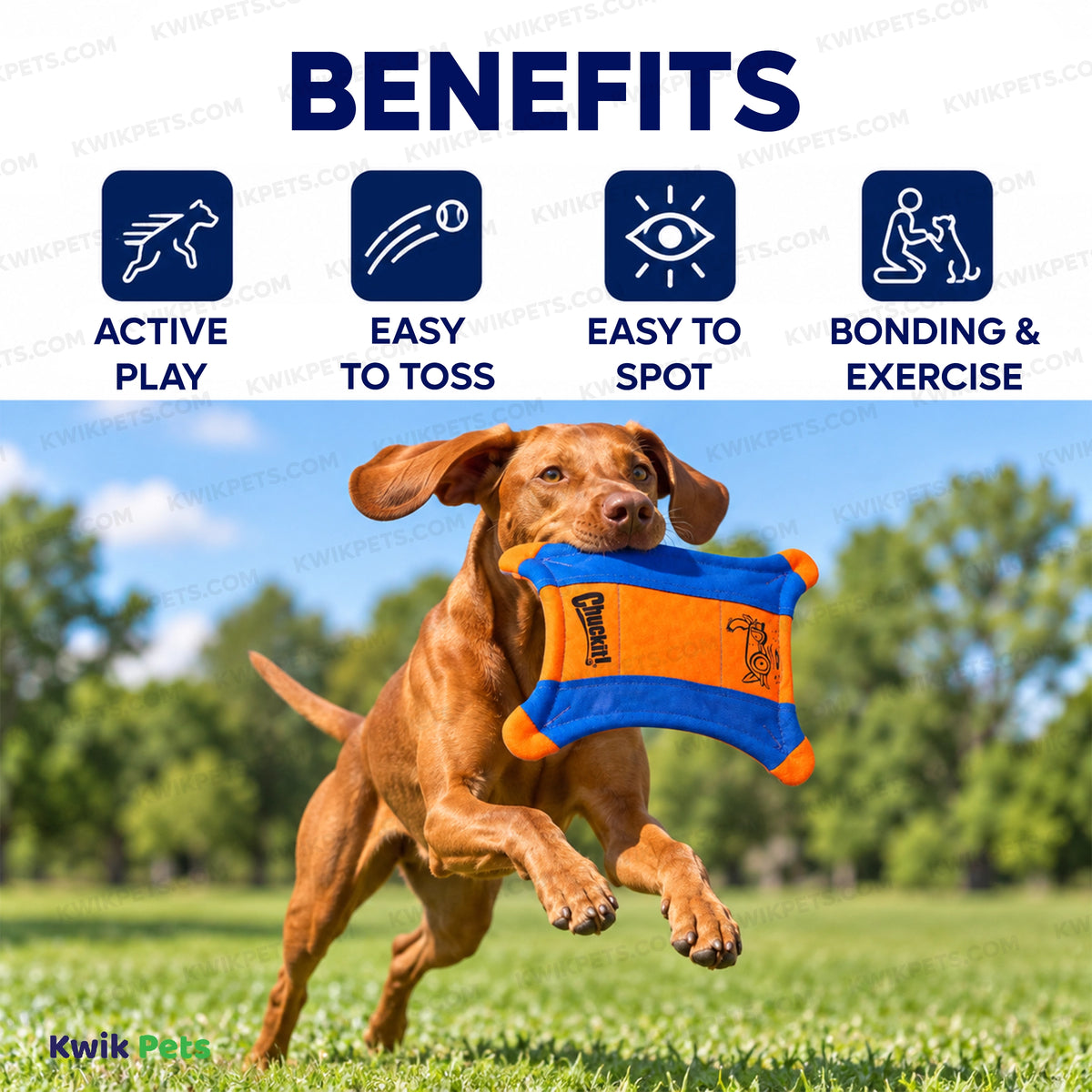 Benefits of Chuckit! Flying Squirrel Dog Toy Assorted Small