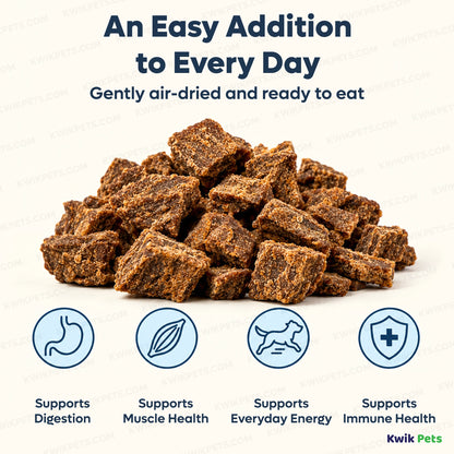 Benefits of Volkman Seed Company Small Animal Rodent Gourmet Dry Food 4-lb