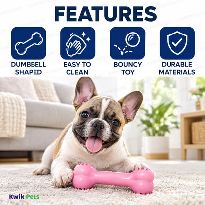 Features of KONG Goodie Bone Puppy Toy Assorted Small