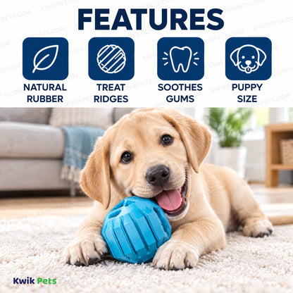 Features of KONG Activity Ball Puppy Dog Toy Assorted Medium
