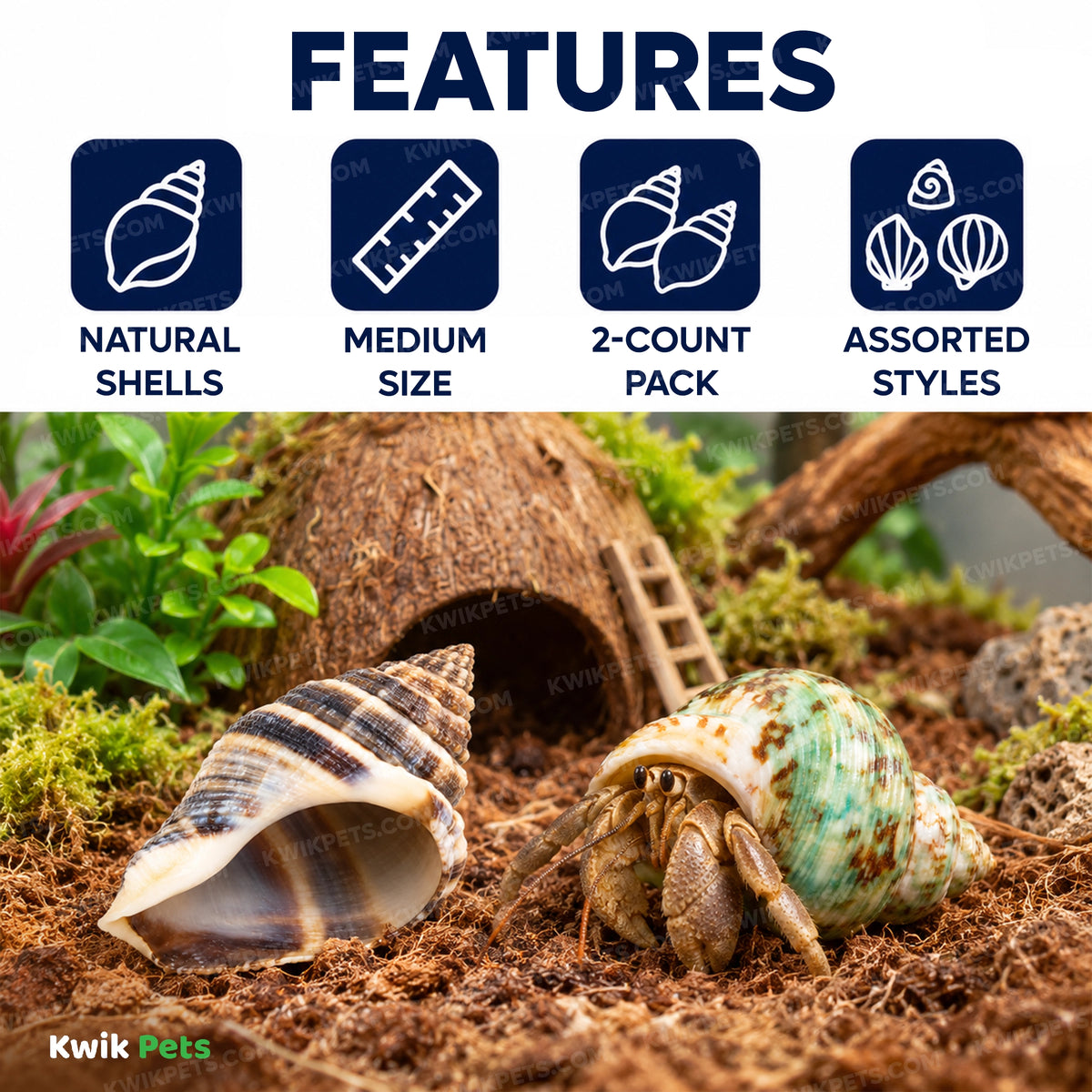 Features of Zoo Med Hermit Crab Growth Shell Assorted Medium 2 Count