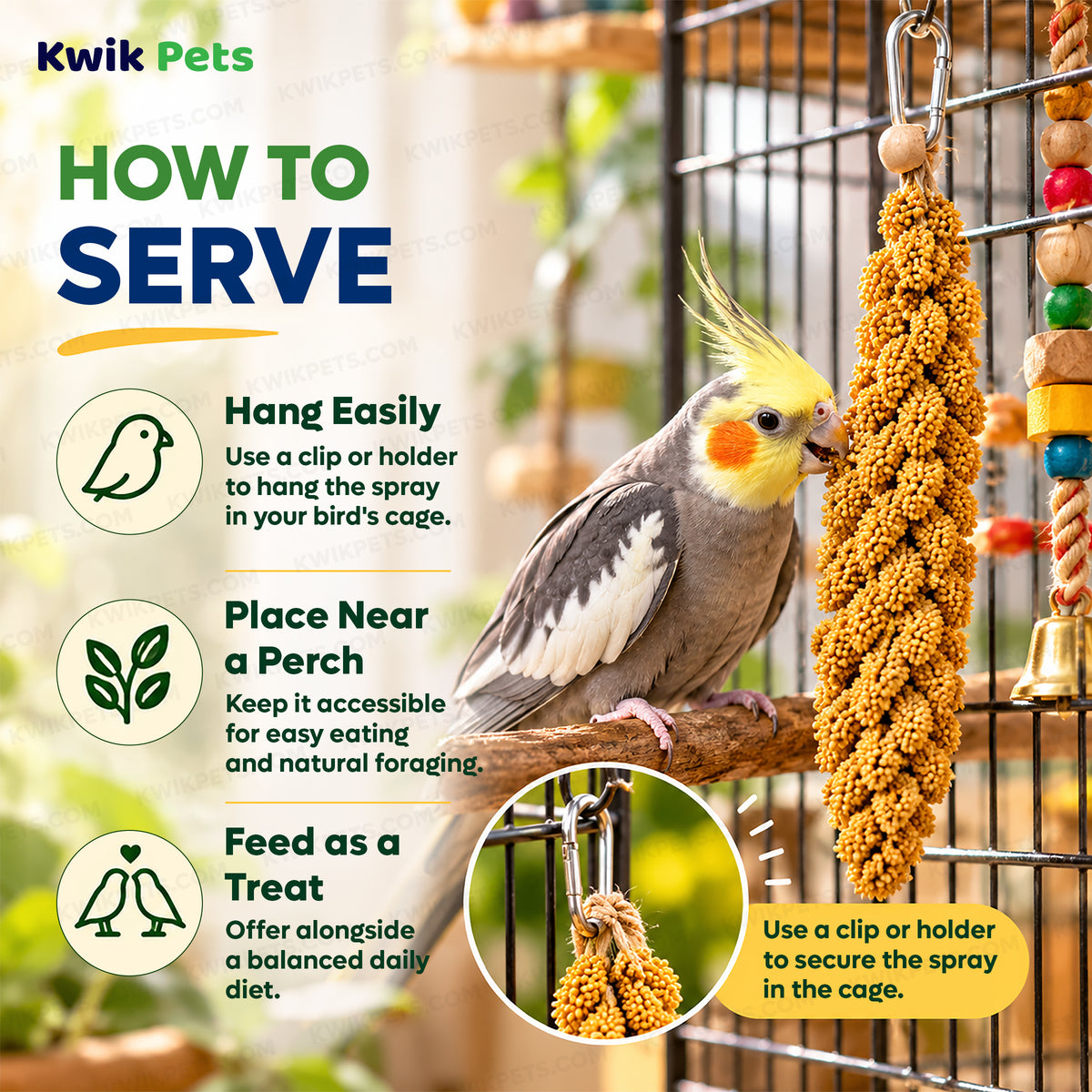 Feeding Guide Lines of Kaytee Natural Spray Millet Bird Treats 12 Count 7-oz