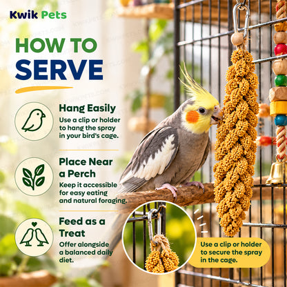 Feeding Guide Lines of Kaytee Natural Spray Millet Bird Treats 12 Count 7-oz