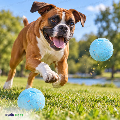 Lifestyle of Chuckit! Rebounce Ball Dog Toy Assorted Medium 2 Count
