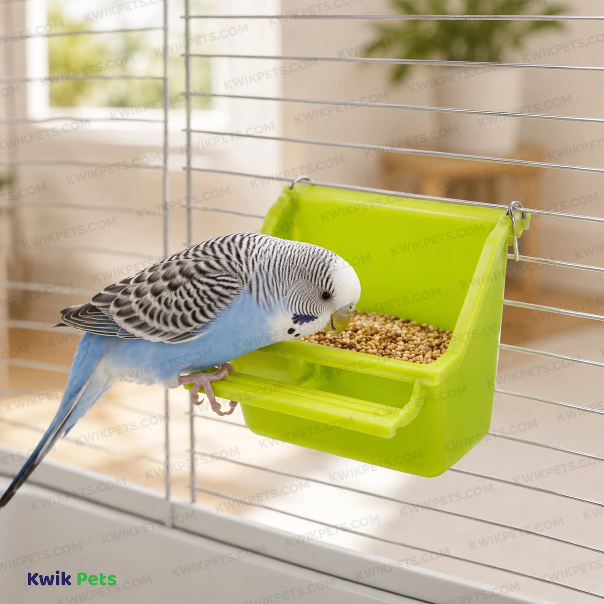 Lifestyle of Prevue Pet Products Perch Cup for Birds Assorted 4-oz
