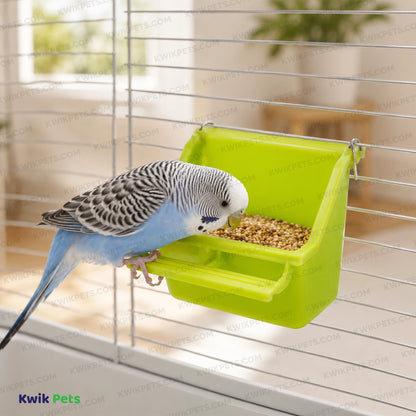 Lifestyle of Prevue Pet Products Perch Cup for Birds Assorted 4-oz