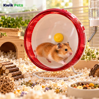 Lifestyle of Kaytee Silent Spinner Wheel for Small Animals Clear Regular 6.5-in