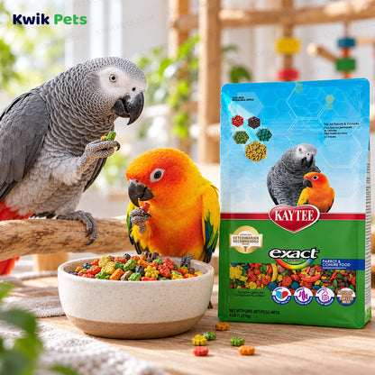 Lifestyle of Kaytee Exact Rainbow Parrot & Conure Food 4-lb