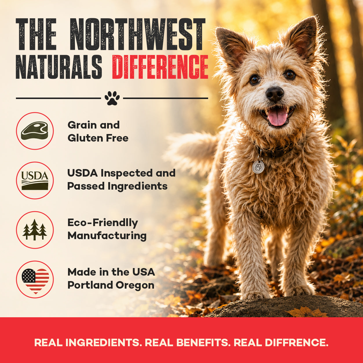 Benefits_2 of No3 Northwest Naturals Functional Freeze Dried Dog & Cat Food Topper Beef Blood 3.5-oz