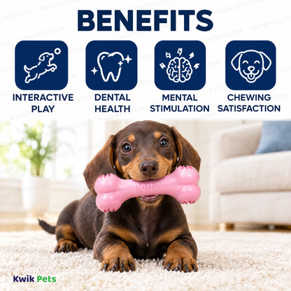 Benefits of KONG Goodie Bone Puppy Toy Assorted Small