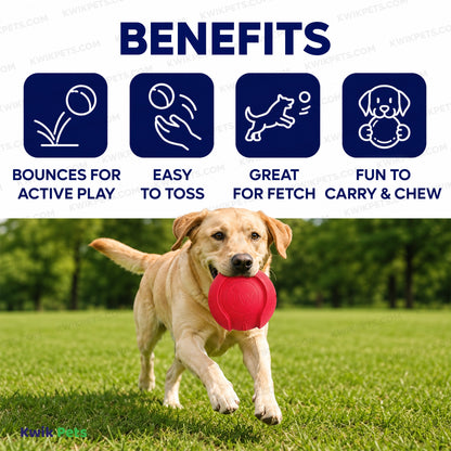 JW Pet iSqueak Bouncin' Baseball Dog Toy Assorted Large, Kwik Pets